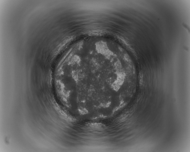 X0000100420637200806271507