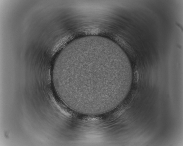 X0000100420638200806271507