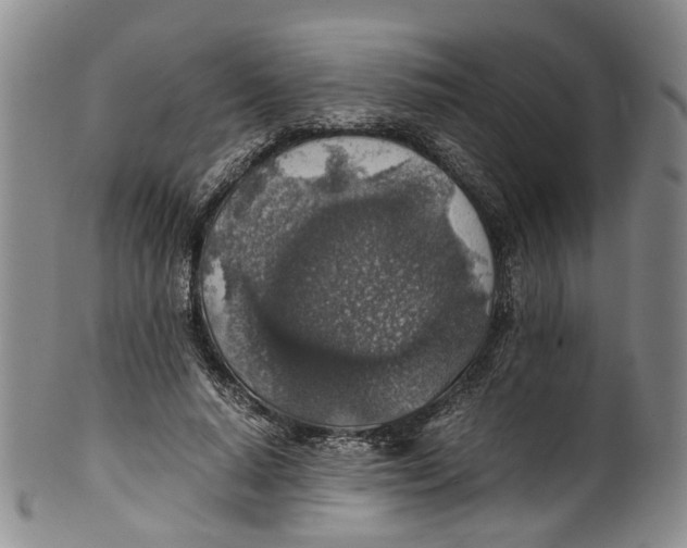 X0000100420640200806271507