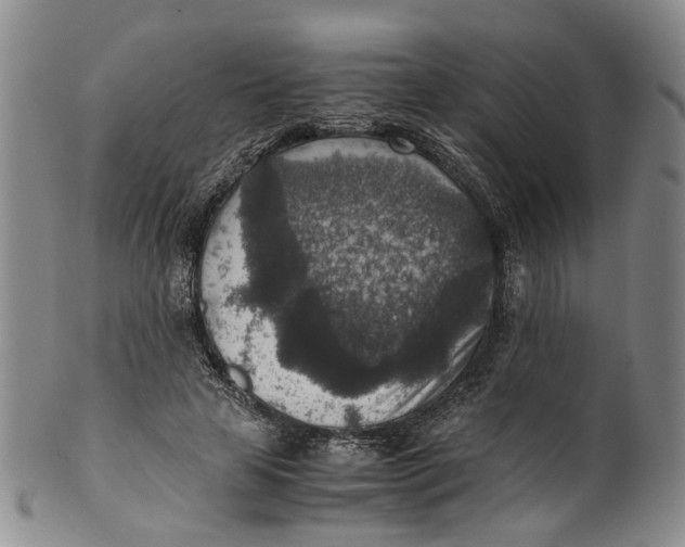 X0000100420641200806271507