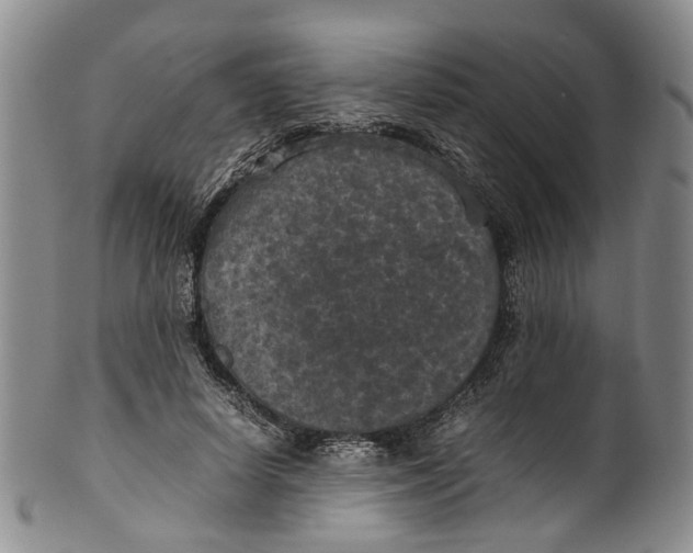 X0000100420642200806271507