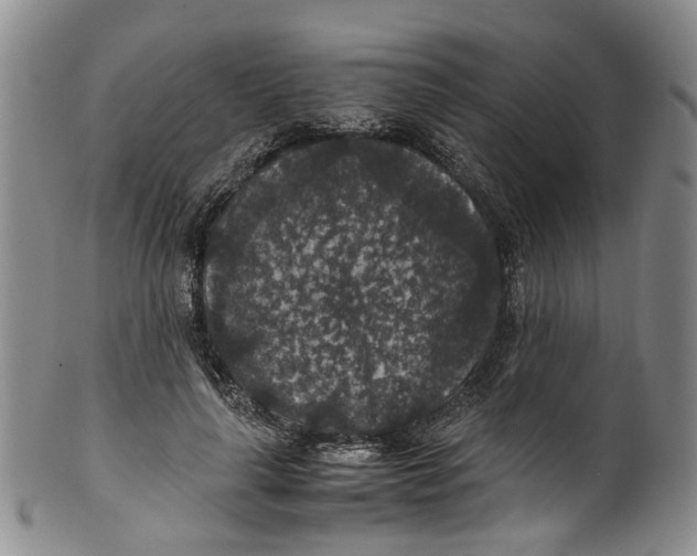 X0000100420643200806271507