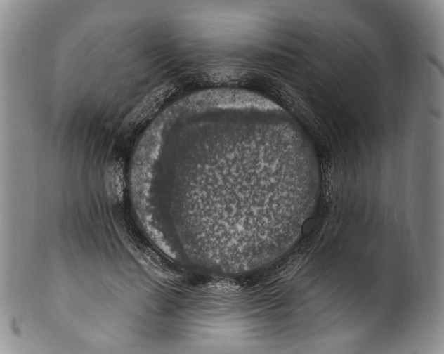 X0000100420644200806271507