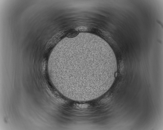 X0000100420645200806271507