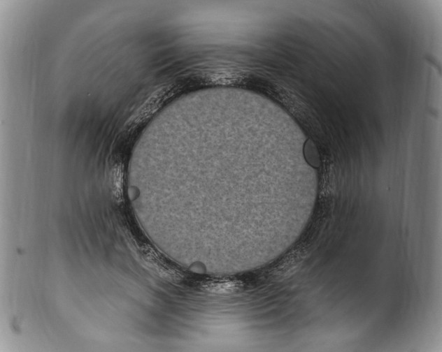 X0000100420646200806271507