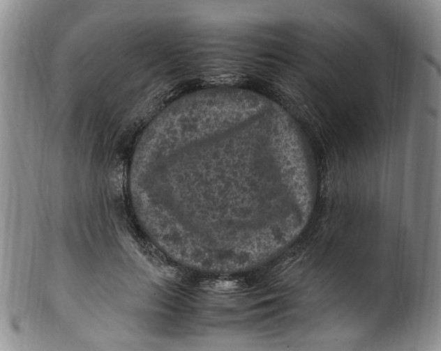 X0000100420647200806271507