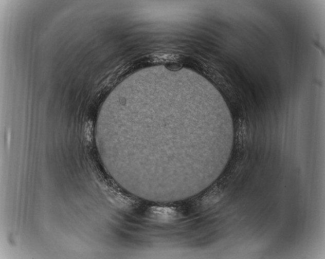 X0000100420649200806271508