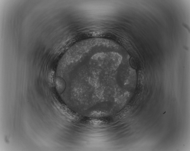 X0000100420650200806271508