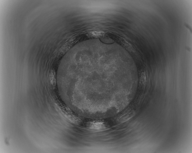 X0000100420651200806271508