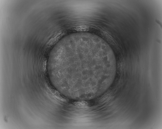 X0000100420652200806271508