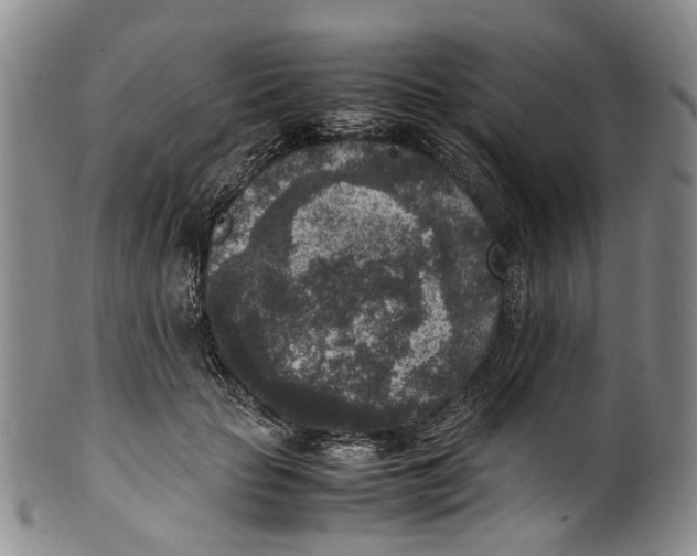 X0000100420653200806271508