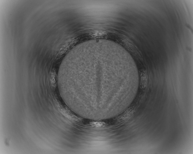 X0000100420654200806271508