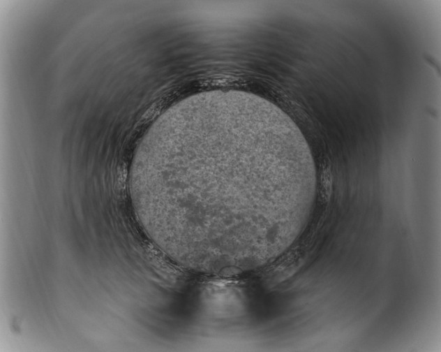 X0000100420657200806271508