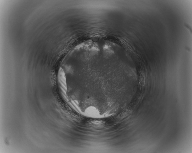 X0000100420659200806271508