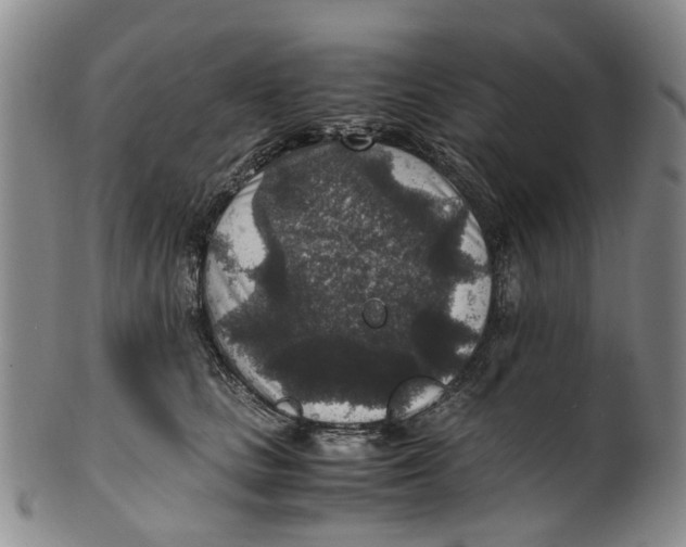 X0000100420661200806271508