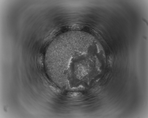 X0000100420663200806271508