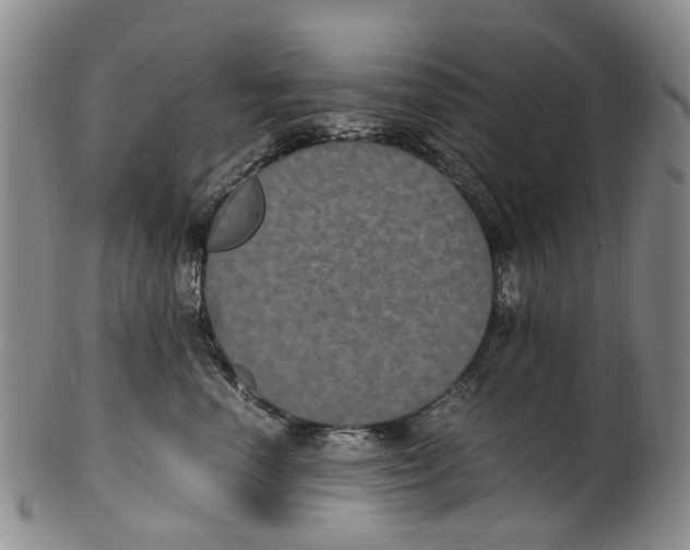 X0000100420666200806271508