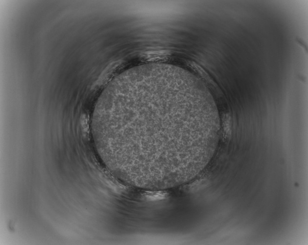 X0000100420667200806271508