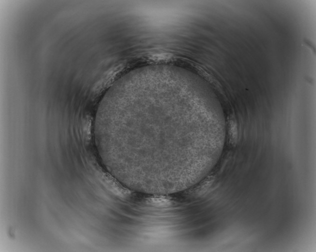 X0000100420668200806271508