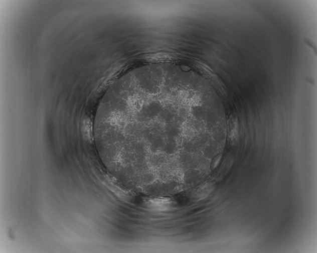 X0000100420669200806271508