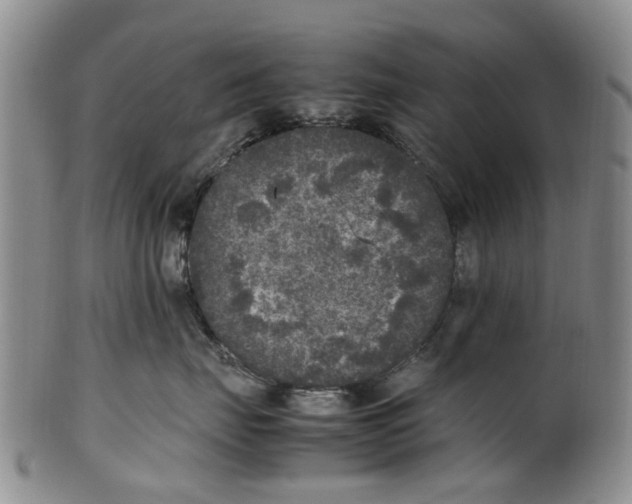 X0000100420671200806271508