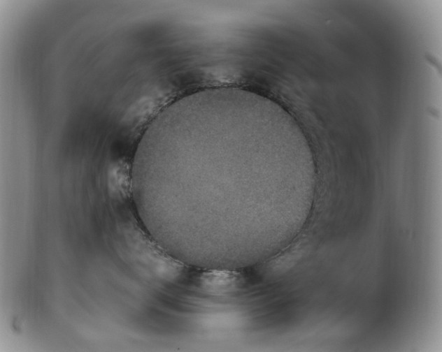 X0000100420672200806271508