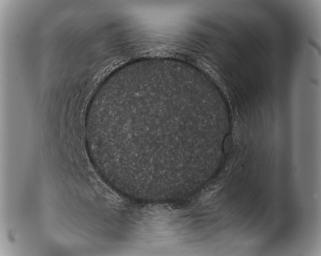 X0000100420673200806271507