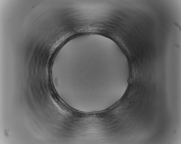 X0000100420674200806271507