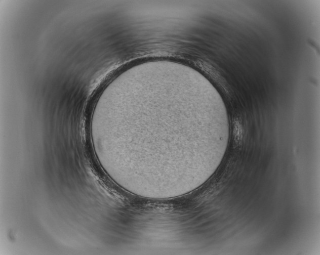 X0000100420676200806271507