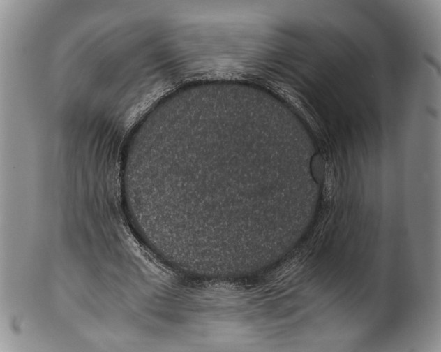 X0000100420677200806271507