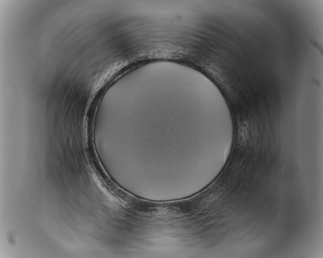 X0000100420678200806271507