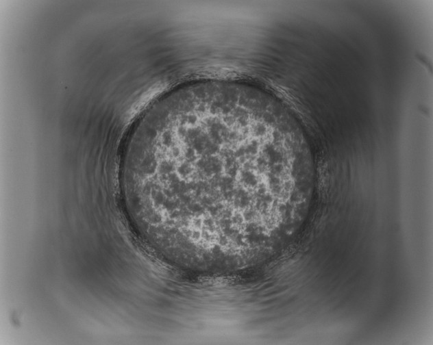 X0000100420679200806271507