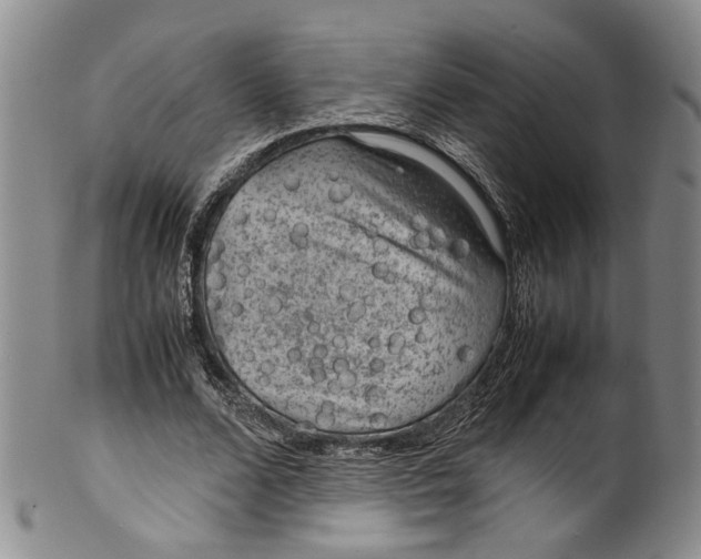 X0000100420680200806271507