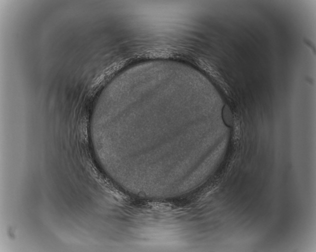 X0000100420681200806271507