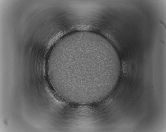 X0000100420682200806271507