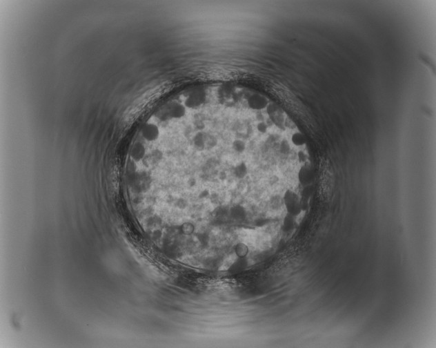 X0000100420683200806271507