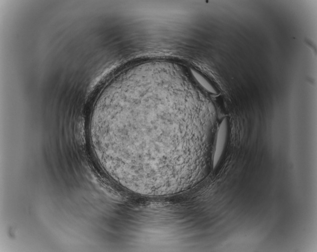 X0000100420684200806271507