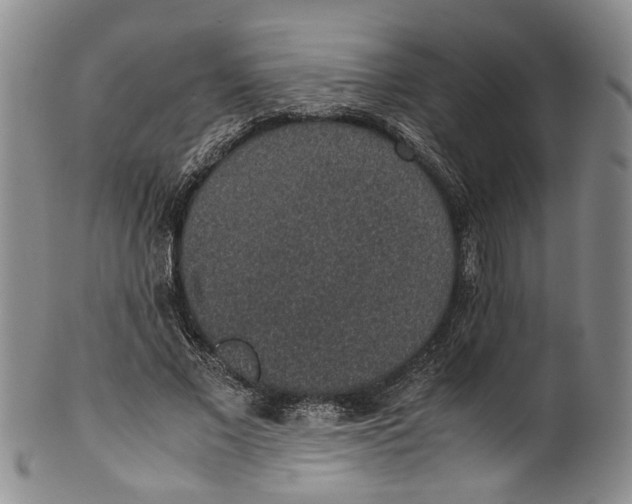 X0000100420685200806271507