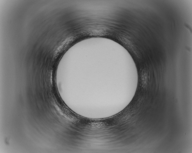 X0000100420686200806271507