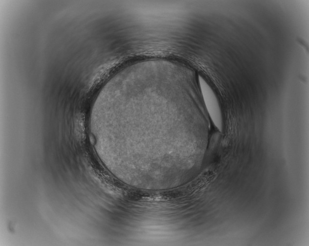 X0000100420688200806271507