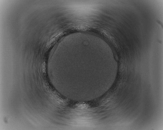 X0000100420689200806271507