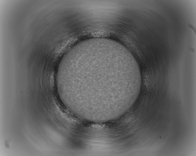 X0000100420690200806271507