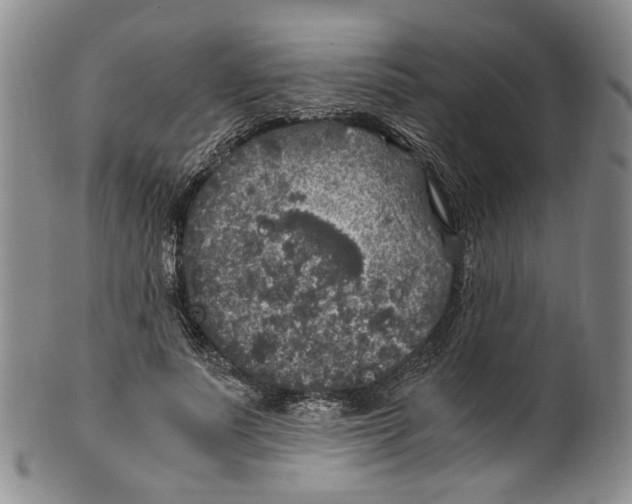 X0000100420691200806271507