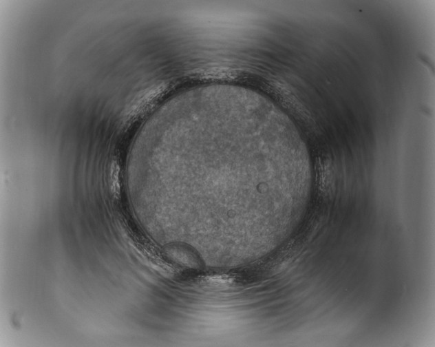 X0000100420692200806271507