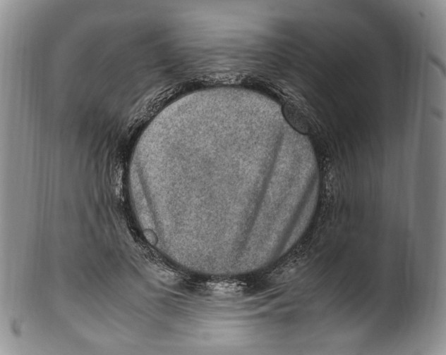 X0000100420693200806271507