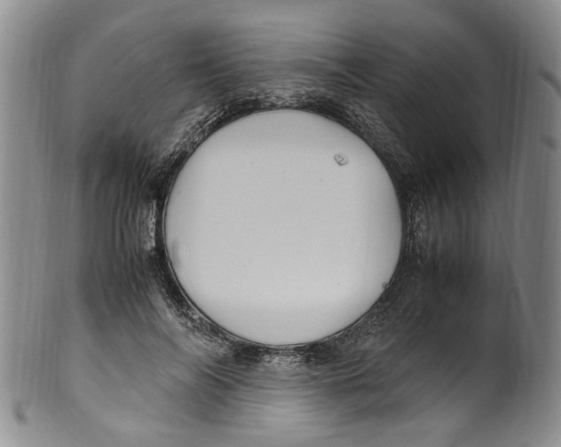 X0000100420694200806271507