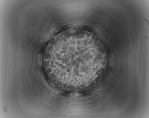 X0000100420695200806271507