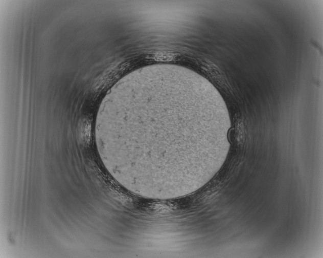 X0000100420697200806271507