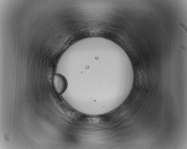 X0000100420698200806271507