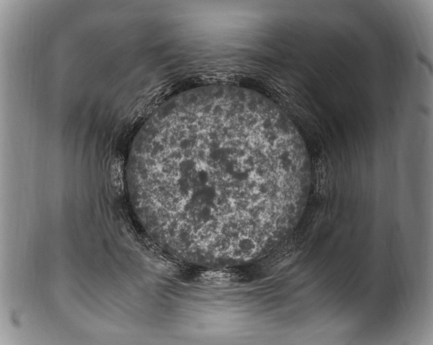 X0000100420699200806271507